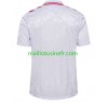Maillot de Foot Danemark Extérieur UEFA EURO 2024